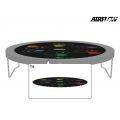 BERG Champion Springmat (TwinSpring-Airflow) trampoline Levels 430cm